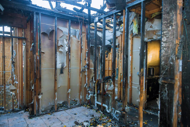 Professional Smoke Damage Removal technician working in Laramie, WY